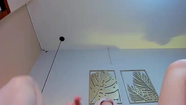 ValkaVega webcam