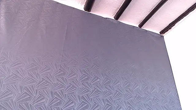Freyja_eter webcam