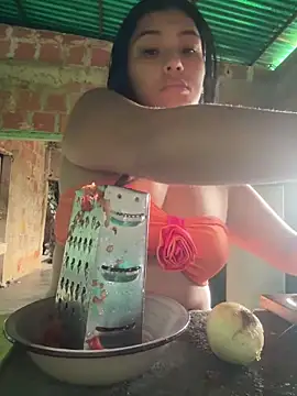 Ceninth webcam