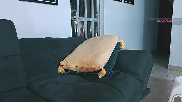 SilvaBranko webcam