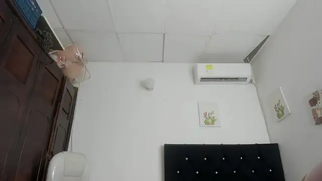 Modèle: barbie_ds