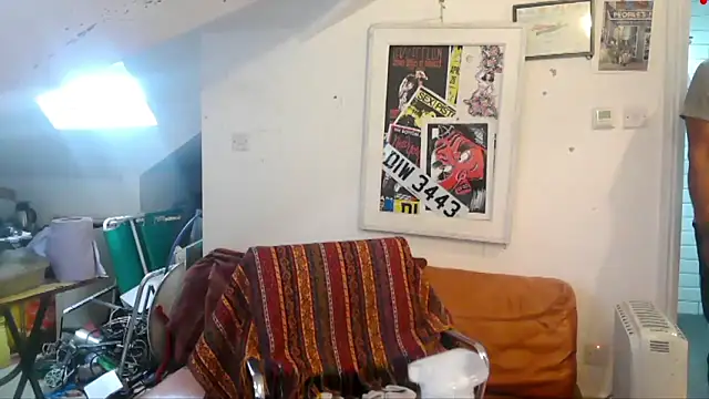 mista_sista_fista webcam