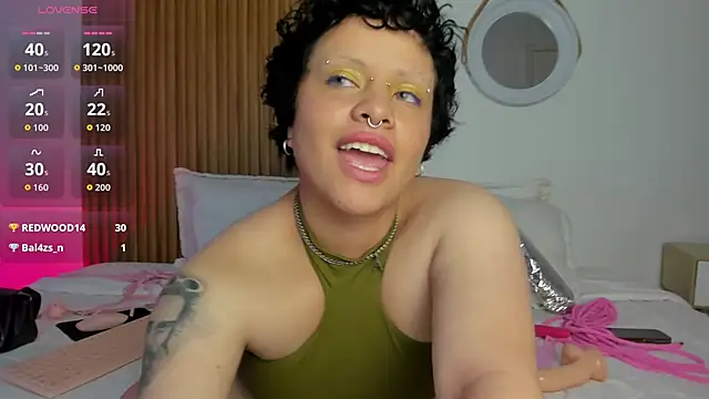 Alaska_deluxe webcam