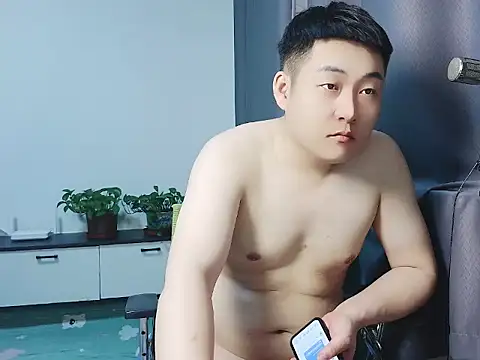 Llpl322 webcam