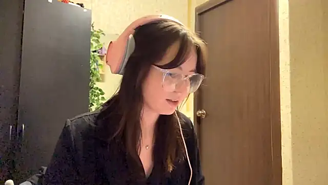 CrappyCatcher webcam