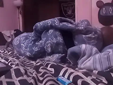 Blkstylion webcam
