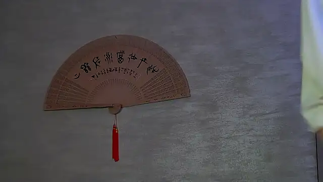 tayakayan webcam