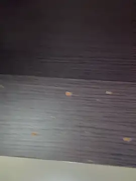 chick-888 webcam