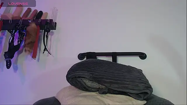 aronleblanc_ webcam
