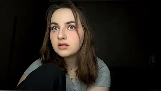 ParTouch webcam