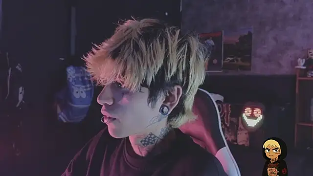 AcidMilo webcam