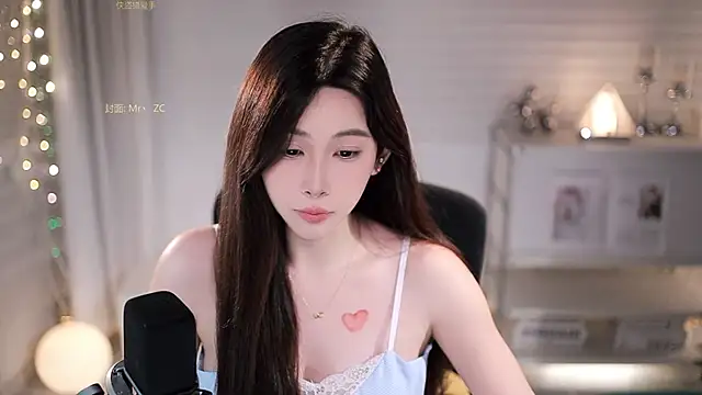 SleepArtist webcam