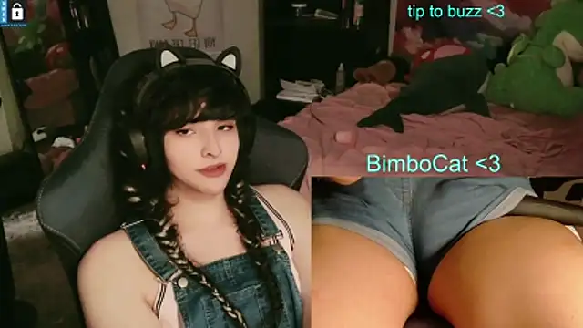 BimboCat webcam