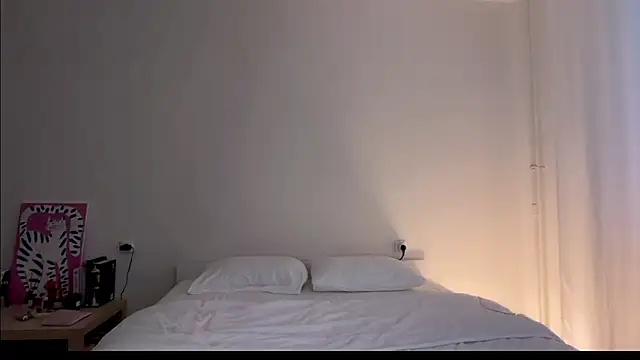 Milky___Way webcam
