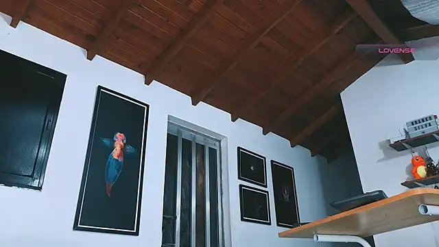 SilvaBranko webcam