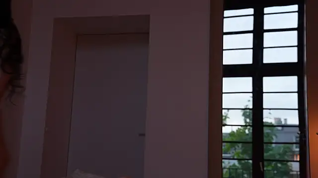ibiddi webcam