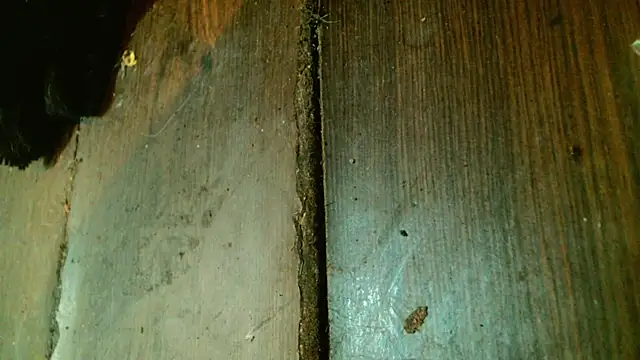 Gigadickman webcam