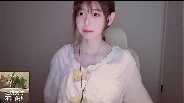 Ruuunn webcam