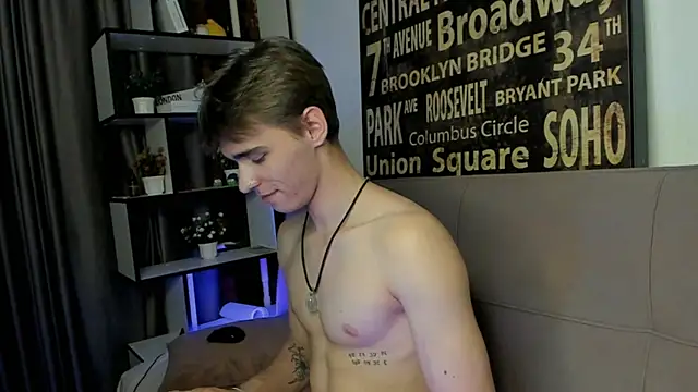 Shadow_blink webcam