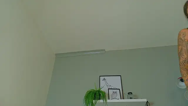 LexaDominant__ webcam