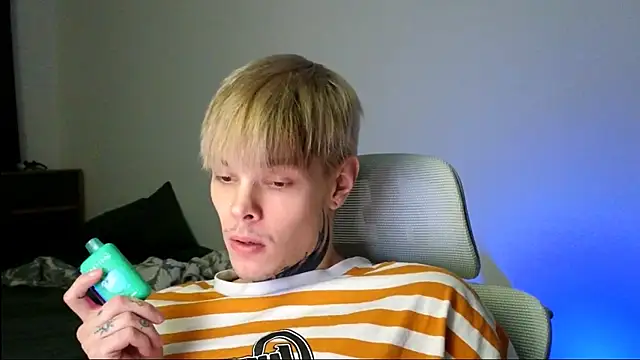 DENIS_HERE webcam