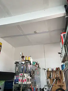 Paul22cm- webcam