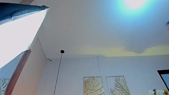 ValkaVega webcam
