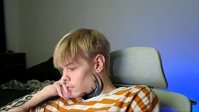 DENIS_HERE webcam