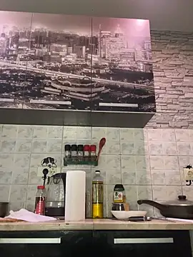 SilentShard webcam