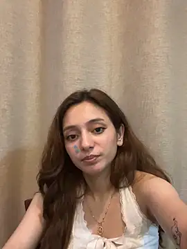 Lilywant webcam