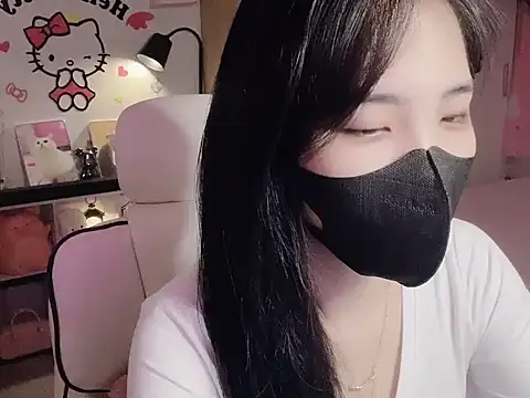 Pun8386 webcam