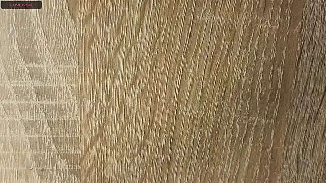 NoFace_Model webcam