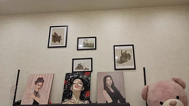 dolly_ll webcam