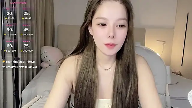 koieel webcam