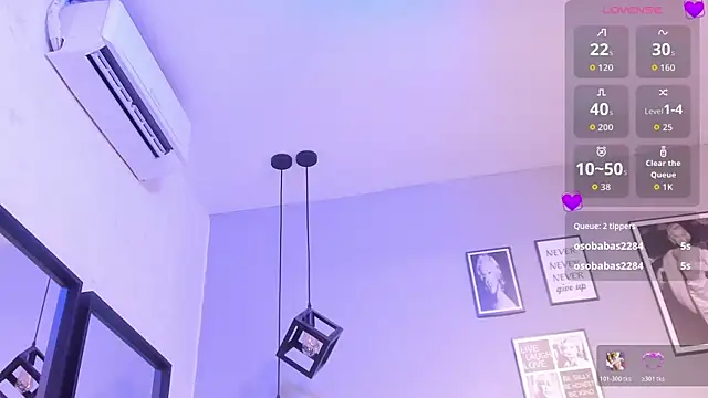 Liincostelloo webcam