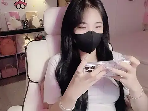 Pun8386 webcam