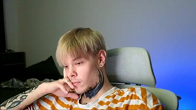 DENIS_HERE webcam