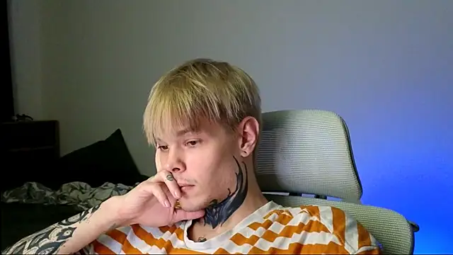 DENIS_HERE webcam