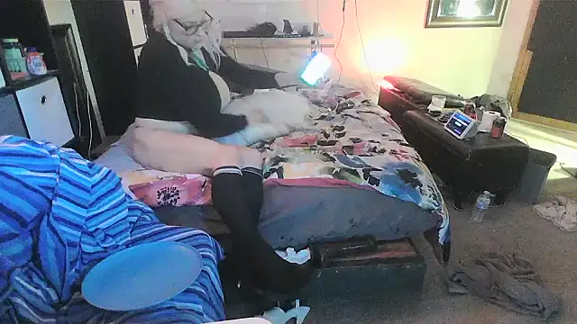 sissytrapdolly24 webcam