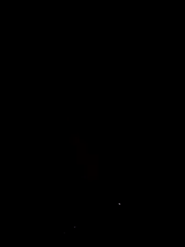 Evadesirex46 webcam