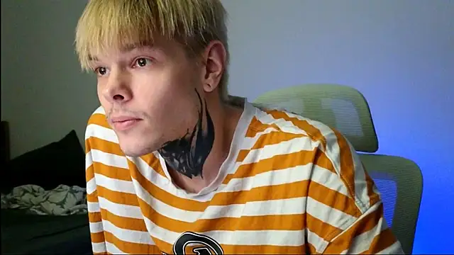 DENIS_HERE webcam
