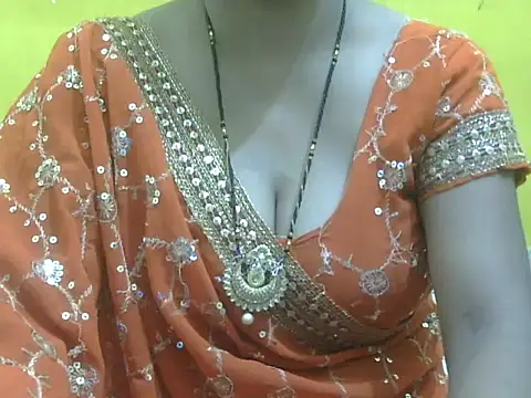 HOT-SEEMAA webcam