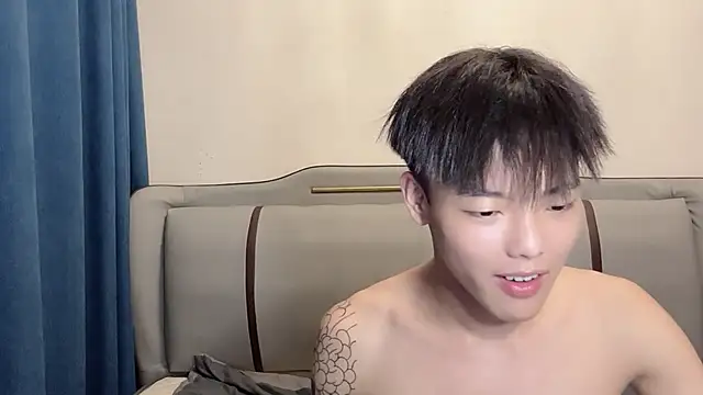 LY-0101 webcam