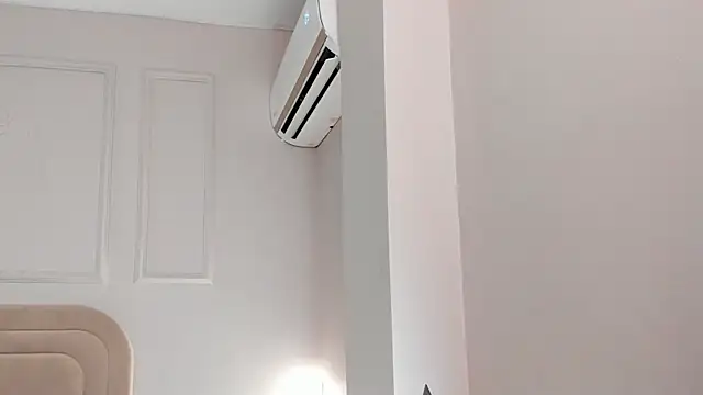 Liastarkk webcam