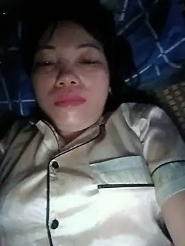 Sana-vn webcam
