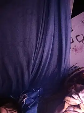 Sana-vn webcam