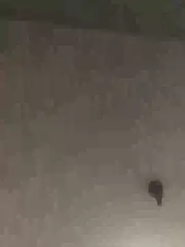 Sexyheelskev webcam