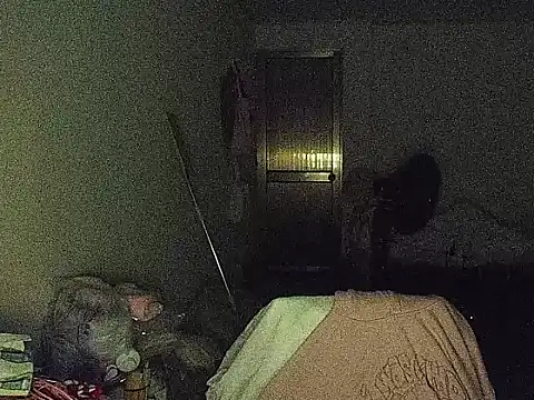 RebelAura webcam