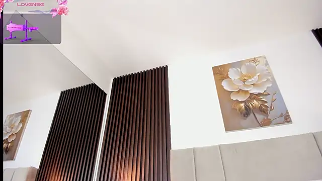 _MiLa_Dyva webcam