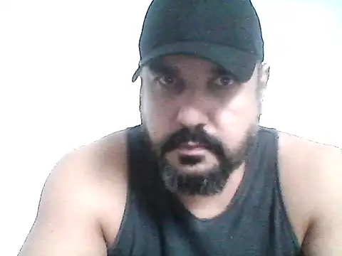 stallony webcam